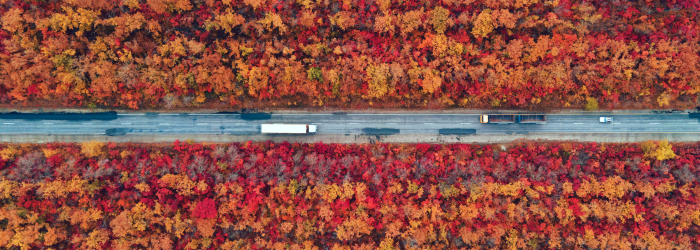 artyom-panfilov-ZPMLT_fpz9s-unsplash